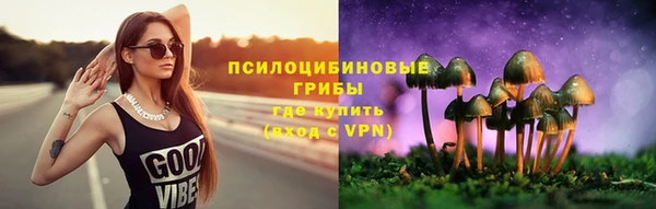 ALPHA PVP Алексеевка