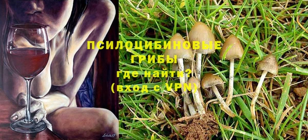 ALPHA PVP Алексеевка