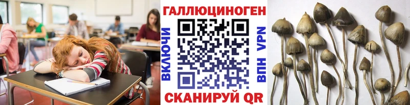 Галлюциногенные грибы Psilocybine cubensis  Болхов 